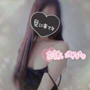 ヒメ日記 2026/01/09 09:01 投稿 菊池ほたる マダムと紳士