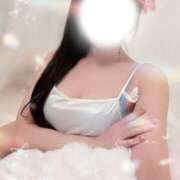 ヒメ日記 2026/04/01 09:11 投稿 菊池ほたる マダムと紳士