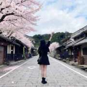 ヒメ日記 2026/04/08 12:31 投稿 菊池ほたる マダムと紳士