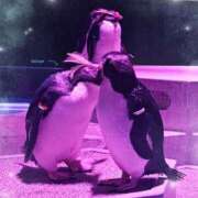 ヒメ日記 2024/12/21 17:18 投稿 みかん 札幌回春性感マッサージ倶楽部