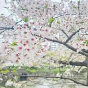 ヒメ日記 2025/05/05 12:09 投稿 みかん 札幌回春性感マッサージ倶楽部