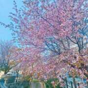 ヒメ日記 2026/04/25 16:28 投稿 みかん 札幌回春性感マッサージ倶楽部