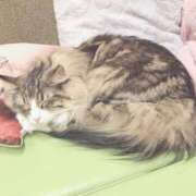 ヒメ日記 2024/12/12 13:33 投稿 もえ カワサキEROTIC（ソープランド）