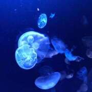 ヒメ日記 2025/02/28 16:36 投稿 もえ カワサキEROTIC（ソープランド）