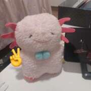 ヒメ日記 2025/04/06 11:20 投稿 もえ カワサキEROTIC（ソープランド）