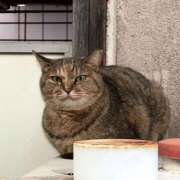 ヒメ日記 2025/04/23 15:01 投稿 もえ カワサキEROTIC（ソープランド）