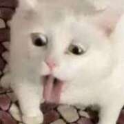 ヒメ日記 2025/06/29 14:08 投稿 もえ カワサキEROTIC（ソープランド）