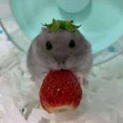 ヒメ日記 2025/07/05 09:43 投稿 もえ カワサキEROTIC（ソープランド）