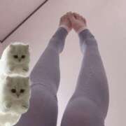 ヒメ日記 2025/07/12 12:26 投稿 もえ カワサキEROTIC（ソープランド）