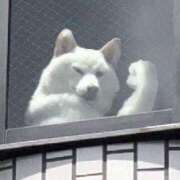 ヒメ日記 2025/08/05 13:47 投稿 もえ カワサキEROTIC（ソープランド）