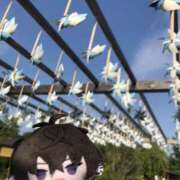 ヒメ日記 2025/08/05 22:06 投稿 もえ カワサキEROTIC（ソープランド）