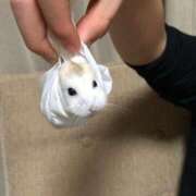 ヒメ日記 2025/08/12 19:01 投稿 もえ カワサキEROTIC（ソープランド）