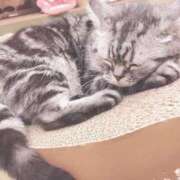 ヒメ日記 2025/08/23 12:51 投稿 もえ カワサキEROTIC（ソープランド）