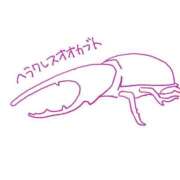 ヒメ日記 2025/08/29 17:01 投稿 もえ カワサキEROTIC（ソープランド）