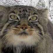 ヒメ日記 2025/09/20 13:30 投稿 もえ カワサキEROTIC（ソープランド）