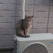 ヒメ日記 2025/09/21 12:46 投稿 もえ カワサキEROTIC（ソープランド）