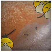 ヒメ日記 2025/09/24 19:39 投稿 もえ カワサキEROTIC（ソープランド）