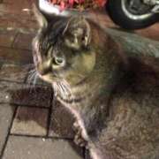 ヒメ日記 2025/11/01 21:02 投稿 もえ カワサキEROTIC（ソープランド）