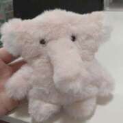 ヒメ日記 2025/11/14 13:07 投稿 もえ カワサキEROTIC（ソープランド）