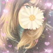 ヒメ日記 2025/01/24 14:00 投稿 一ノ瀬そら 色街SPA