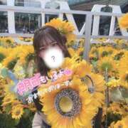 ヒメ日記 2025/08/03 17:09 投稿 えむ 東京メンズボディクリニック TMBC 池袋店