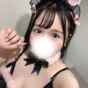 ヒメ日記 2025/09/26 07:41 投稿 せな チューリップ熊本店