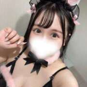 ヒメ日記 2025/10/17 07:51 投稿 せな チューリップ熊本店