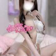 ヒメ日記 2025/06/04 12:02 投稿 ゆあ 恋するバニー