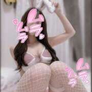 ヒメ日記 2025/08/23 14:44 投稿 ゆあ 恋するバニー