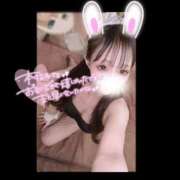 ヒメ日記 2025/09/08 14:01 投稿 ゆあ 恋するバニー