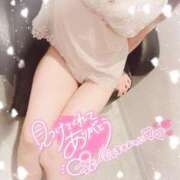 ヒメ日記 2025/03/06 11:31 投稿 かなで 京都デリヘル倶楽部