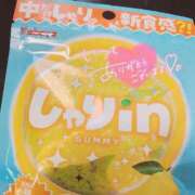 ヒメ日記 2025/03/08 11:50 投稿 かなで 京都デリヘル倶楽部