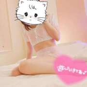 ヒメ日記 2025/03/20 09:30 投稿 かなで 京都デリヘル倶楽部