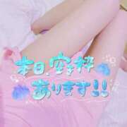 ヒメ日記 2025/04/11 11:41 投稿 かなで 京都ホテヘル倶楽部