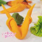 ヒメ日記 2025/05/06 07:21 投稿 かなで 京都ホテヘル倶楽部