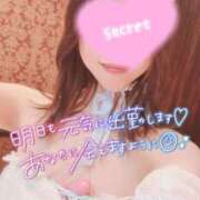 ヒメ日記 2026/01/29 17:30 投稿 かなで 京都ホテヘル倶楽部