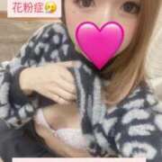 ヒメ日記 2025/02/19 20:20 投稿 みさ 風俗の神様　浜松店