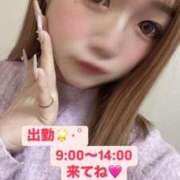 ヒメ日記 2025/03/18 09:20 投稿 みさ 風俗の神様　浜松店