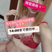 ヒメ日記 2025/11/10 12:50 投稿 みさ 風俗の神様　浜松店