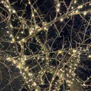 野々宮かおる 次の出勤は18日ですᐠ(ᐢᵕᐢ)ᐟ ヌルテカ