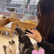 しん 猫派です バイオレンス