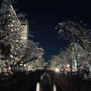 ヒメ日記 2025/04/19 11:59 投稿 みれい Fの法則