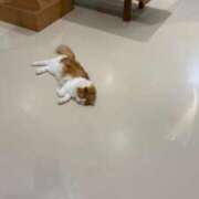 ヒメ日記 2026/03/31 12:12 投稿 みれい Fの法則