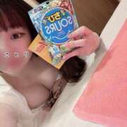 ヒメ日記 2025/02/17 10:10 投稿 ことり 深海魚