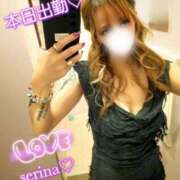 ヒメ日記 2025/02/14 07:48 投稿 せりな 池袋人妻城