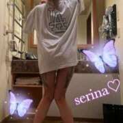 ヒメ日記 2025/04/10 11:18 投稿 せりな 池袋人妻城