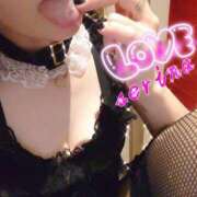 ヒメ日記 2025/07/14 23:51 投稿 せりな 池袋人妻城