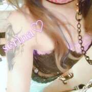 ヒメ日記 2025/07/22 05:39 投稿 せりな 池袋人妻城