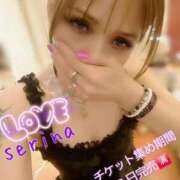 ヒメ日記 2025/09/01 15:45 投稿 せりな 池袋人妻城