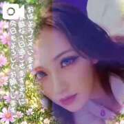 ヒメ日記 2026/10/24 08:15 投稿 せりな 池袋人妻城